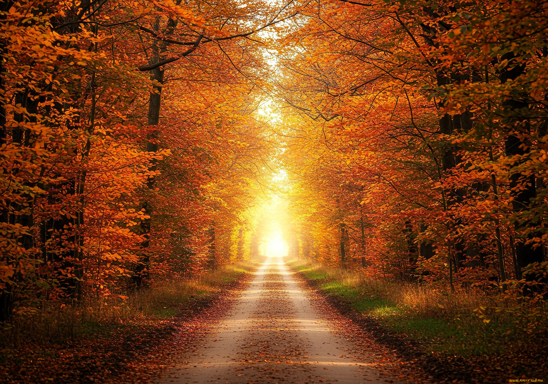 3 ,  , nature, , , , , 